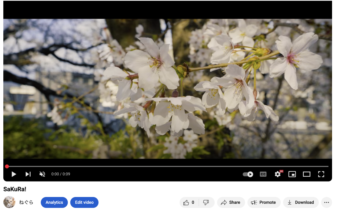 未来のパッケージ